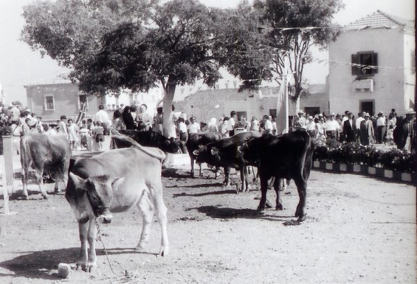Fratsia Fair 1962, 1966 and 1968