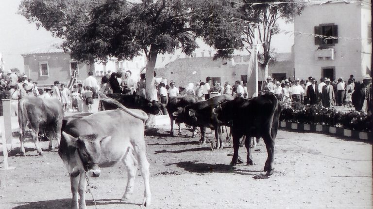 Fratsia Fair 1966
