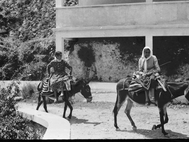 Mitata 1964